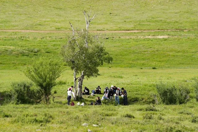 Хээрийн дадлага, байгалийн судалгаа — 2